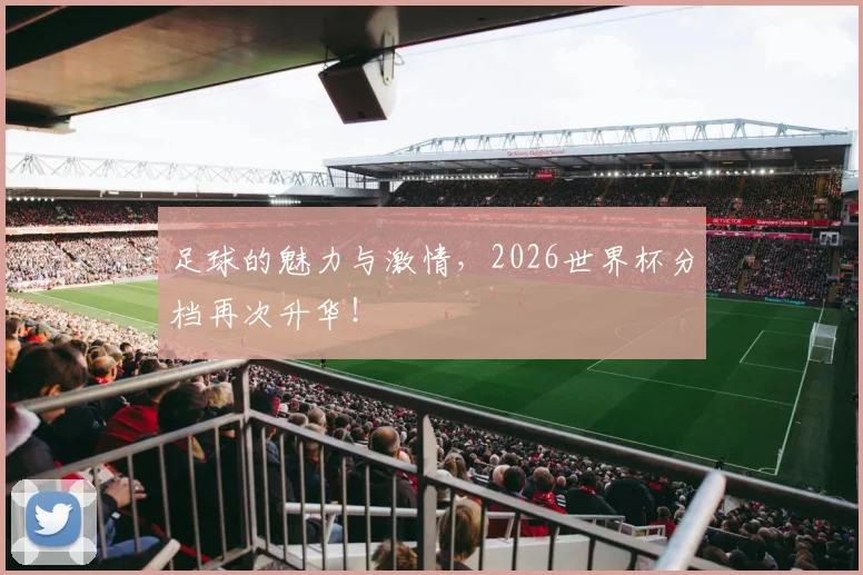 足球的魅力与激情，2026世界杯分档再次升华！